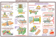 ПС09 Безопасность труда при деревообработке (пластик, А2, 5 листов) - Плакаты - Безопасность труда - магазин "Охрана труда и Техника безопасности"